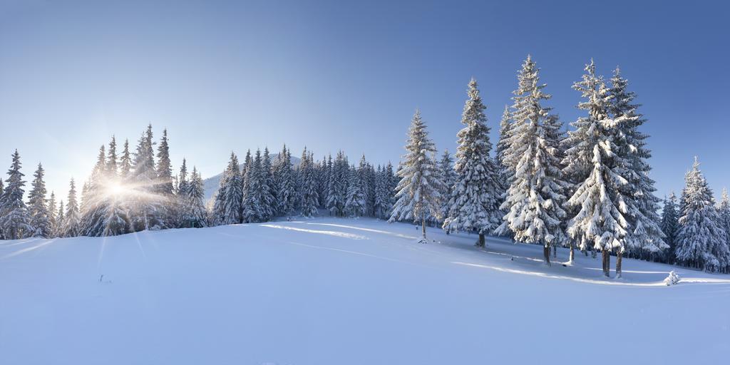 Hotel Club Le Risoux Bois-d'Amont Екстер'єр фото